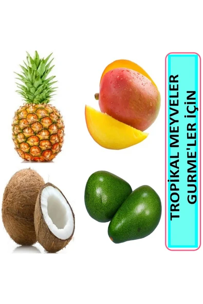 fresh in city 1 Büyük Avokado 1 Mango 1 Ananas 1 Hindistan Cevizi Tropikal Lezzetler Sepeti ürün görseli 1