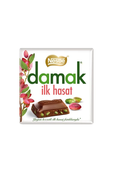 Nestle Damak İlk Hasat Antep Fıstıklı Sütlü Çikolata Kare 60 Gr X 6 Adet ürün görseli 1