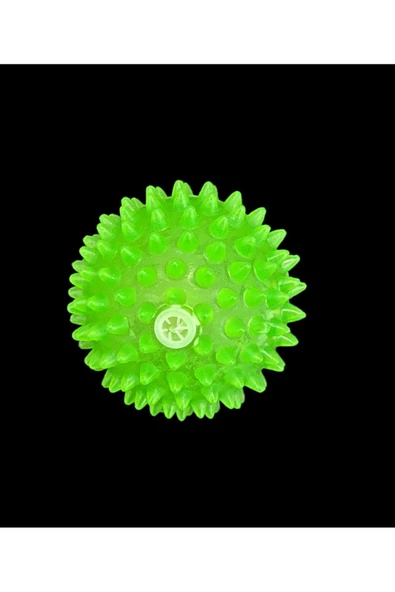 ERGOTYPE Dokunsal Duyusal Sesli Dikenli Top 6,5cm ürün görseli 1