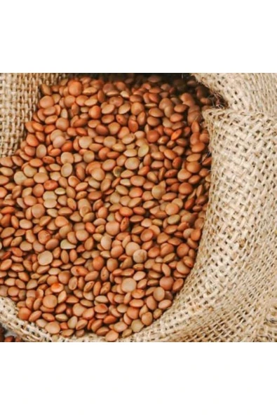 nehirgıda Mercimek 1 kg ürün görseli 1