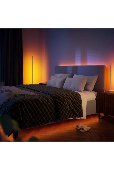Philips Hue Gradient Signe Masa Lambası - Meşe - Resim 5