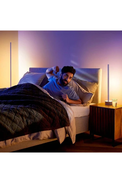 Philips Hue Gradient Signe Masa Lambası - Meşe - Resim 6