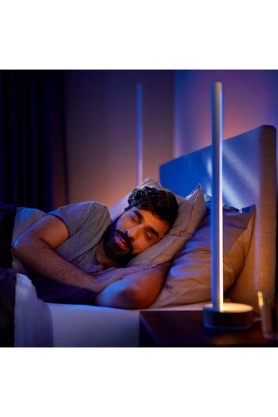Philips Hue Gradient Signe Zemin Işığı - Meşe - Resim 6