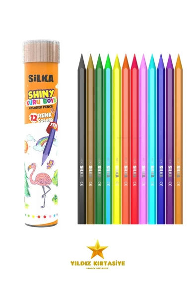 Shiny Wood Free 12 Renk Metal Kutu Kuru Boya Kalemi ürün görseli 1