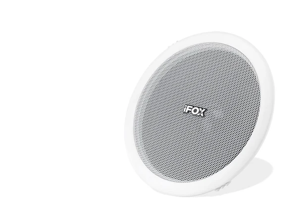 Trafolu Tavan Hoparlör 10W 16 Cm Beyaz FX660 ürün görseli 1