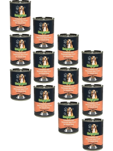 Econature Somon Etli Köpek Konservesi 400 gr (12 Adet) ürün görseli 1