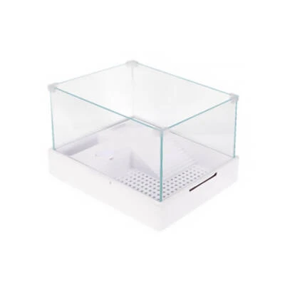 Filtreli Lambalı Cam Kaplumbağa Bahçesi 40x29x25 Cm ürün görseli 1