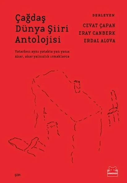 Çağdaş Dünya Şiiri Antolojisi ürün görseli 1