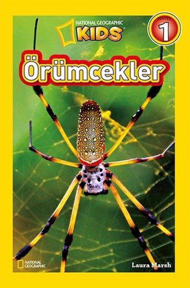 Kids - Örümcekler ürün görseli 1