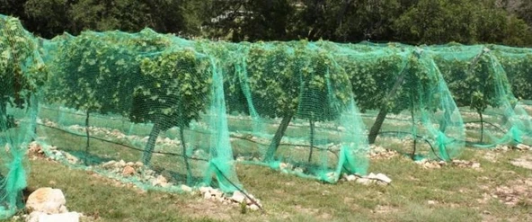 Kuştan koruma ağı intermas 120018 birdnet paket - Resim 4