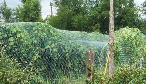 Kuştan koruma ağı intermas 120018 birdnet paket - Resim 3