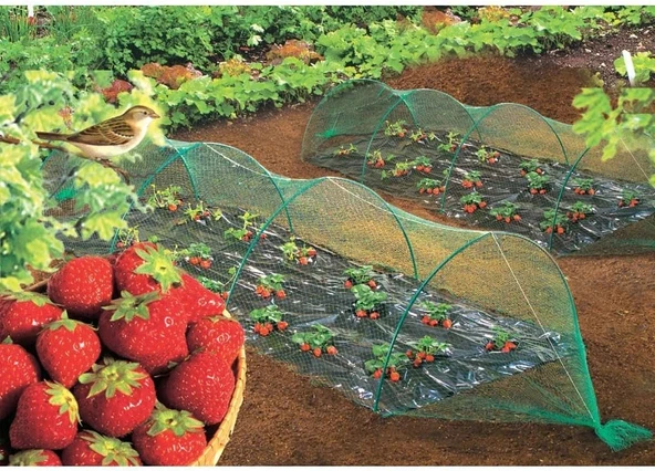 Kuştan koruma ağı intermas 120018 birdnet paket - Resim 5