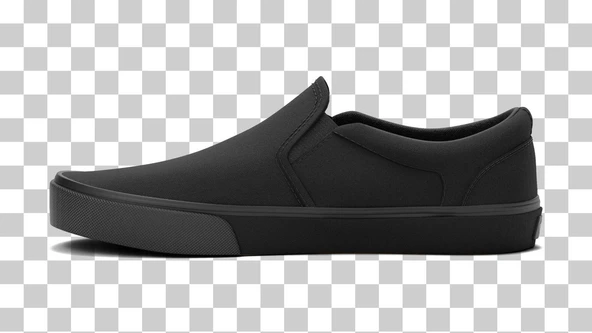 Vans MN Asher Erkek Ayakkabısı VN000SEQ1861 ürün görseli 1