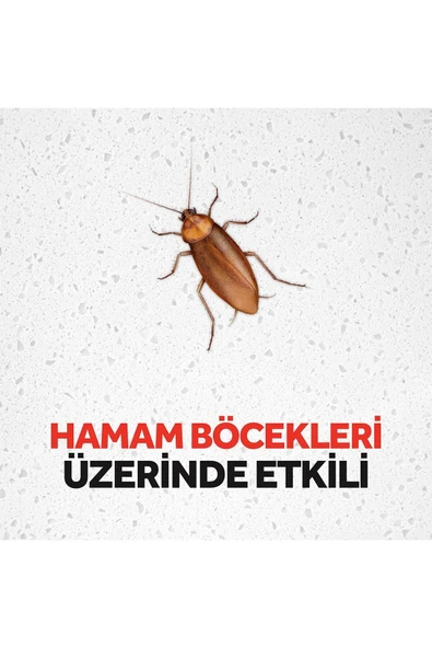RAİD HAMAM BÖCEĞİ YEMİ 6 LI - Resim 5