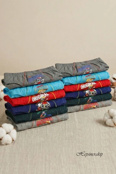 Tutku 12'li Paket Erkek Çocuk Baskılı Elastan Kom Külot TEC0138 ürün görseli 1