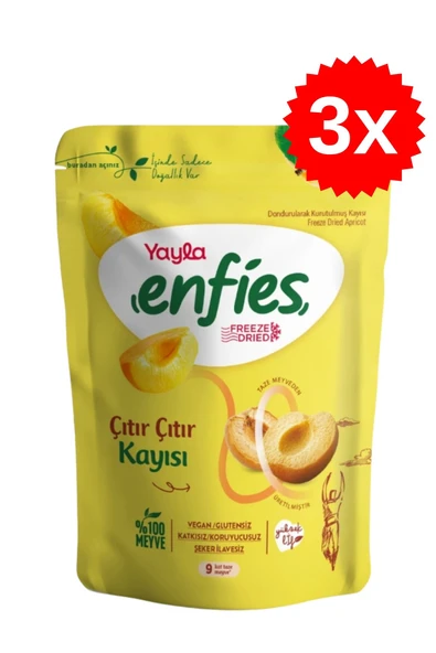 Yayla Freeze Dried Çıtır Çıtır Kayısı 20 gr x 3 Adet ürün görseli 1
