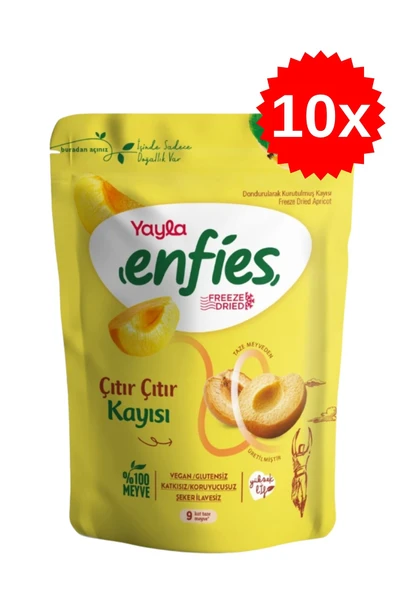 Yayla Freeze Dried Çıtır Çıtır Kayısı 20 gr x 10 Adet ürün görseli 1