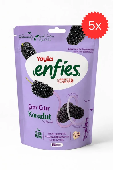 Yayla Freeze Dried Çıtır Çıtır Karadut 15 gr x 5 Adet ürün görseli 1