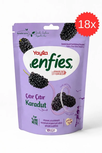Yayla Freeze Dried Çıtır Çıtır Karadut 15 gr x 18 Adet ürün görseli 1