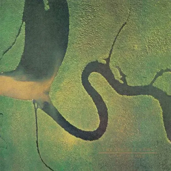 Dead Can Dance The Serpent's Egg Reissue Edition LP Plak ürün görseli 1