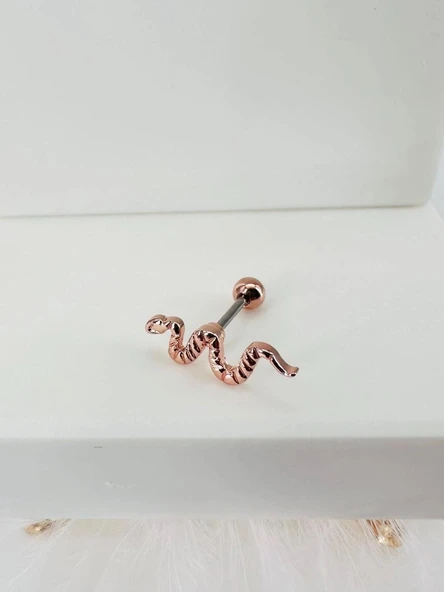 Tragus Kıkırdak Küpesi ürün görseli 1