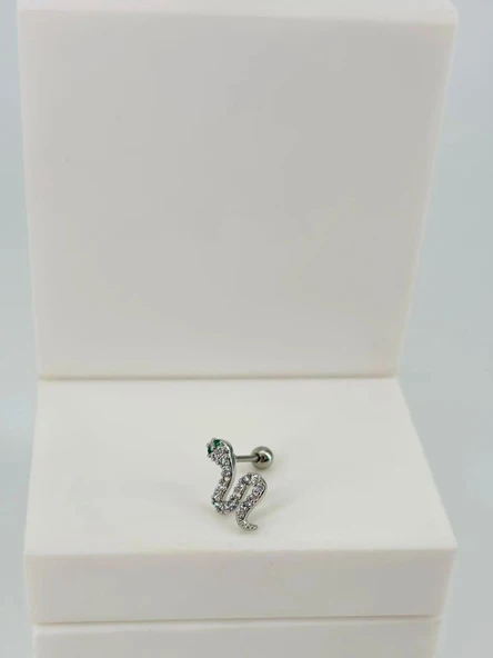 Tragus Kıkırdak Küpesi ürün görseli 1