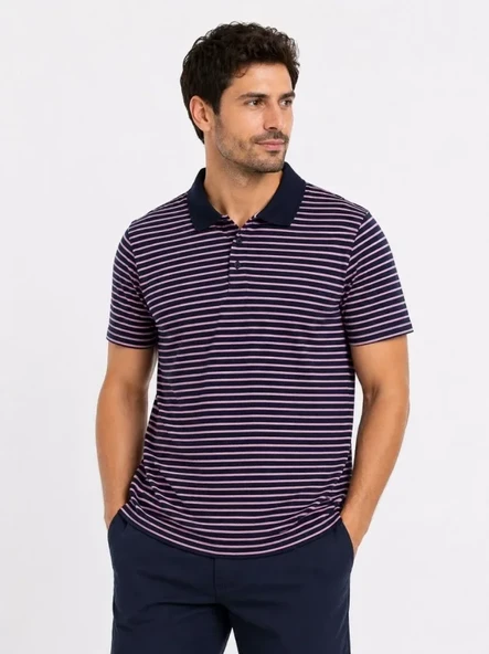 Erkek Pike Kumaş Gül Kurusu Çizgili Polo Yaka Tişört Kısa Kol T-Shirt - Siyah ürün görseli 1