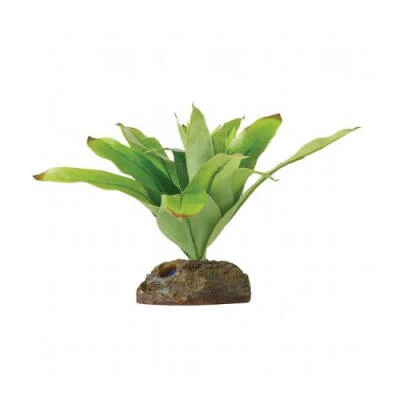 Küçük İpek Neoregelia Plastik Teraryum Bitkisi ürün görseli 1