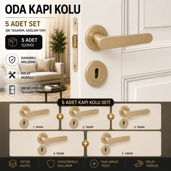 (5 TAKIM SET) Kayı Titanyum Rozetli Oda Kapı Kolu Sağa Sola Uyumlu Kapı Takımı Kolları Modelleri ürün görseli 1