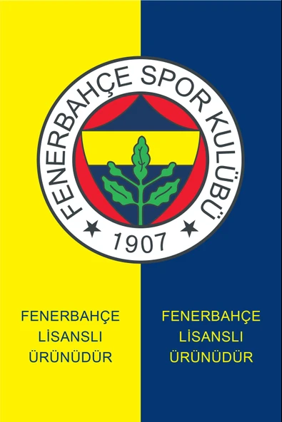 FENERBAHÇE ORİJİNAL LİSANSLI  26/27 SEZON ÇOCUK FORMA - Resim 6