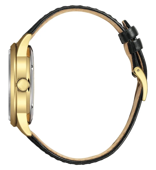 Citizen NY4059-09A Erkek Kol Saati - Resim 2