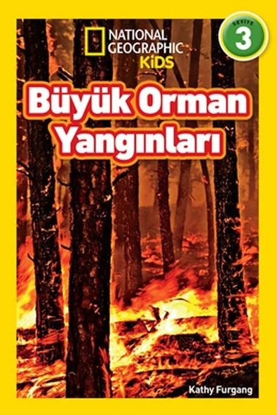 Kids - Büyük Orman Yangınları - Seviye 3 ürün görseli 1