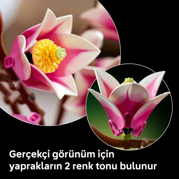 LEGO 11510  Botanicals Manolya Dalları - Resim 7