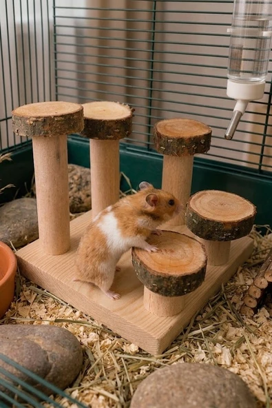 Doğal Kemirgen Merdiveni ve Tırmanma Standı - Hamster Oyun Kulesi ürün görseli 1