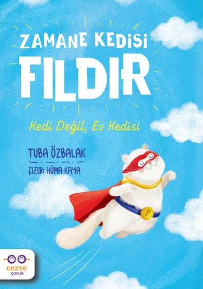 Zamane Kedisi Fıldır - Kedi Değil, Ev Kedisi ürün görseli 1