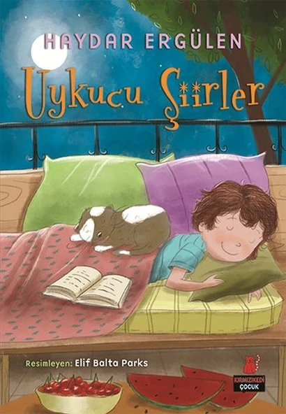 Uykucu Şiirler ürün görseli 1