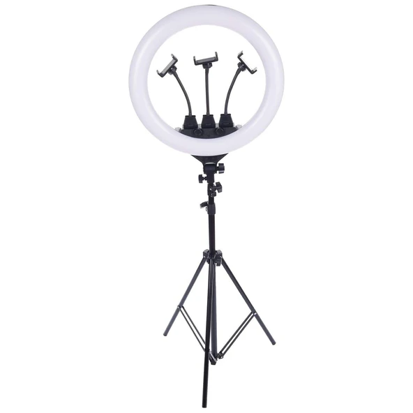 ZB-F488 20 İnç 3'lü Telefon Tutuculu LED Ring Light - Çok Fonksiyonlu Halka Işık ürün görseli 1