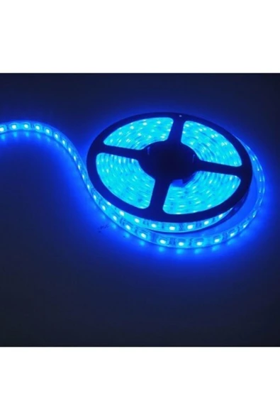 Cata 5 Metre 12 Volt 10 Çipli Iç Mekan Mavi Işık Şerit Led (ct-4484) ürün görseli 1