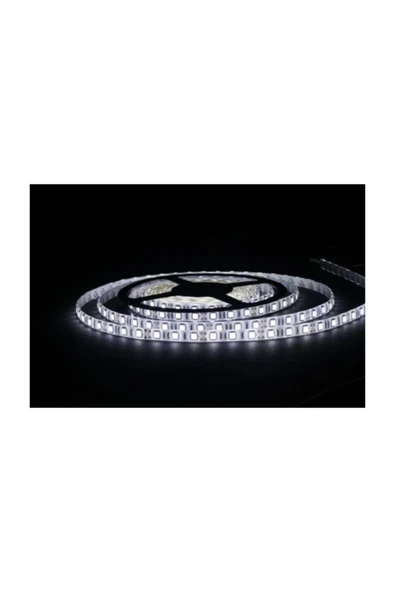 Global 60 Led, İç Mekan Led Şerit(2835) Kcl010 Gün Işığı ürün görseli 1