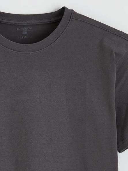 LC WAIKIKI Gri Regular Fit  Basic Tişört - Resim 6