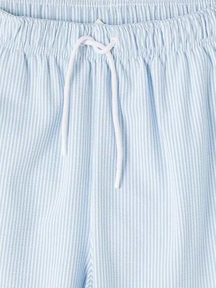 LCW SWIMWEAR Mavi Deniz Şortu - Resim 3