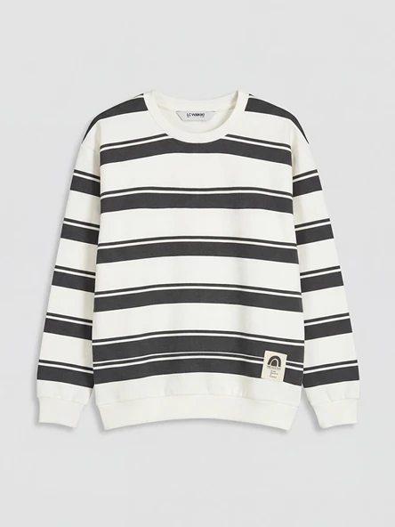 LCW Kids Antrasit Bisiklet Yaka Çizgili Erkek Çocuk Sweatshirt ürün görseli 1