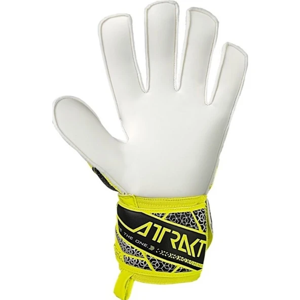 Reusch Attrakt Solid Kaleci Eldiveni (Kemiksiz) 5570515-2014 - Resim 3