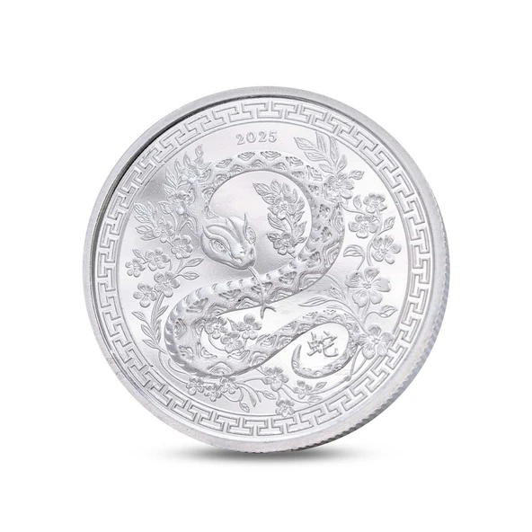 AgaKulche Yılan Figürlü Gümüş Sikke Coin ürün görseli 1