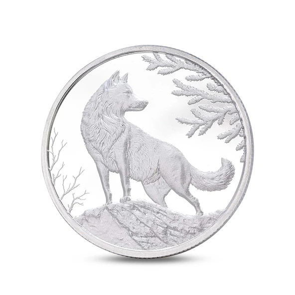 AgaKulche Kurt Gümüş Sikke Coin ürün görseli 1