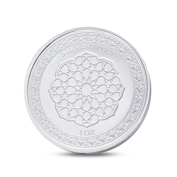 AgaKulche Kurt Gümüş Sikke Coin - Resim 2