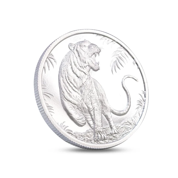 AgaKulche Kaplan Figürlü Gümüş Sikke Coin - Resim 3