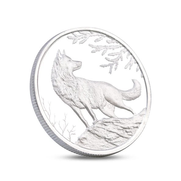 AgaKulche Kurt Gümüş Sikke Coin - Resim 3