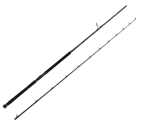 Savage Gear Defiance SG2 Shore Jig 3.05m 30-100gr 2 Parça Olta Kamışı ürün görseli 1