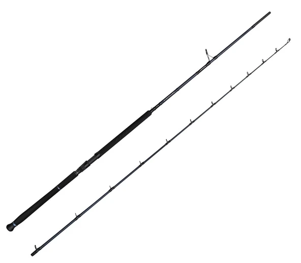 Savage Gear Defiance SG2 Shore Jig 2.90m 20-80gr 2 Parça Olta Kamışı ürün görseli 1